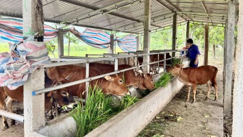 Cơ hội giảm nghèo, cải thiện đời sống vùng dân tộc thiểu số và miền núi Nghệ An