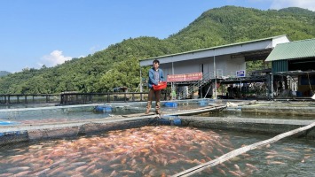 Phát triển hợp tác xã vùng đồng bào dân tộc thiểu số và miền núi