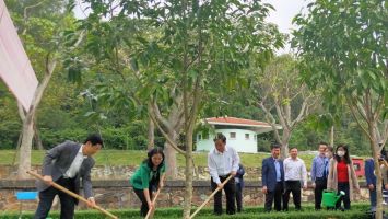 Điều ít biết về hàng cây hoa ngọc lan trên đường lên mộ bà Hoàng Thị Loan