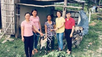 Vai trò tổ chức Đảng và đảng viên trong giảm nghèo bền vững