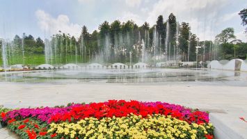 Thành phố Vinh rực rỡ đường hoa xuân Nhâm Dần 2022