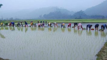 Con Cuông: Xây dựng đời sống văn hoá gắn với xây dựng nông thôn mới, phát triển kinh tế - xã hội.