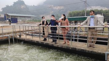 HĐND huyện Quỳ Hợp: Đổi mới, nâng cao chất lượng hiệu quả hoạt động