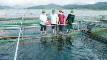 Bí thư Tỉnh ủy Thái Thanh Quý thăm cơ sở nuôi cá lồng trên lòng hồ thủy điện Hủa Na, Quế Phong