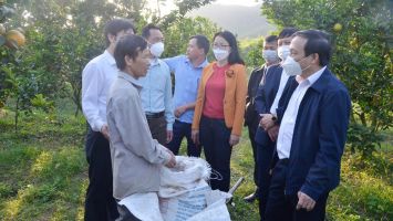 Giám sát quá trình 'tự soi, tự sửa' của cán bộ, đảng viên