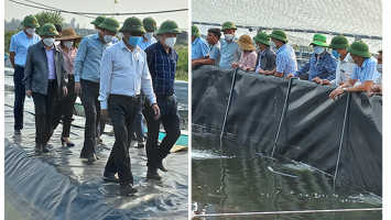 Thị xã Hoàng Mai: Giám sát để hiểu thấu đáo, đi đến cùng các ý kiến, kiến nghị cử tri