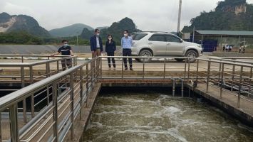 Quỳ Hợp: 5 năm thu hồi hơn 78 ha đất để thực hiện 22 dự án