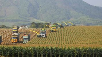 Cụm trang trại bò sữa TH: Nơi công nghệ đầu cuối thế giới 'nâng bước' nền nông nghiệp xanh