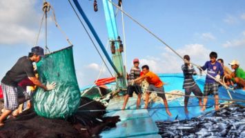 Phát triển thủy sản bền vững - Cần giảm cường lực khai thác