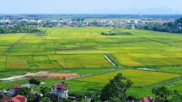 Điều kiện, thủ tục chuyển mục đích sử dụng đất lúa, đất rừng tại 4 tỉnh, thành phố