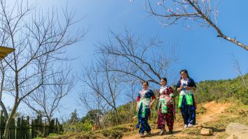 Khảo sát lấy ý kiến xác định thành phần, tên gọi một số dân tộc ở Nghệ An