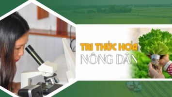 Tri thức hóa nông dân