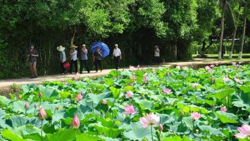 Tháng Năm trên quê Bác