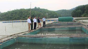 Nông dân Anh Sơn phát huy lợi thế nuôi cá lồng trên sông