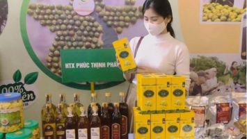 Sản phẩm OCOP 'nở hoa' trên đất Quỳ Châu