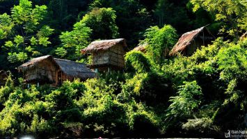 Hơn 6.120 tỷ đồng hỗ trợ đồng bào dân tộc thiểu số Nghệ An