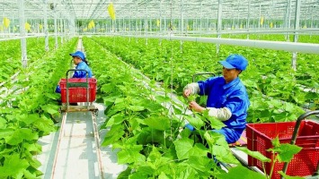 Thực trạng và thách thức trong phát triển nông nghiệp sinh thái ở Việt Nam