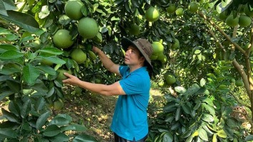 Để hợp tác xã nông nghiệp trở thành đòn bẩy phát triển kinh tế nông thôn