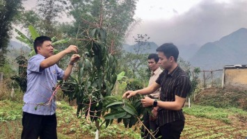 Hòa Bình: Xây dựng nền nông nghiệp chất lượng cao