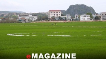 Được gia hạn 24 tháng, Vicem Hoàng Mai có hoàn thành dự án đô thị?