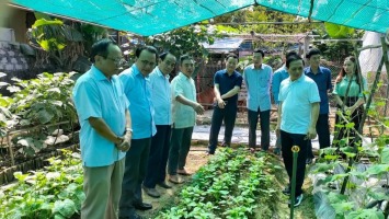 Vườn chuẩn nâng tầm nông thôn mới