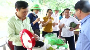 Con Cuông tổ chức hội thảo đầu bờ giống lúa thuần chất lượng cao.