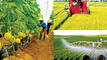 Lời nguyền – Đôi điều suy nghĩ