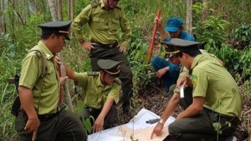 Bộ Nội vụ trả lời kiến nghị của cử tri về bổ sung biên chế cho các cơ quan quản lý, bảo vệ rừng