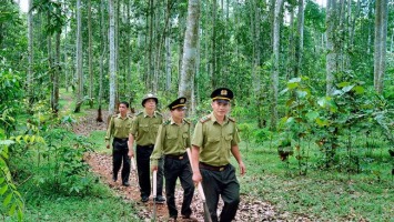 Bộ Nông nghiệp và Phát triển nông thôn trả lời kiến nghị cử tri về chính sách ưu tiên cho lực lượng chuyên trách bảo vệ rừng