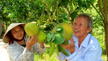 Nhân rộng vườn chuẩn nông thôn mới ở Tân Kỳ