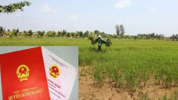 Trả lời cử tri Lê Viết Hoàng, xóm Trường Phú, xã Nghi Trường, huyện Nghi Lộc kiến nghị trả lại thửa đất của gia đình đã đưa vào làm sân bóng