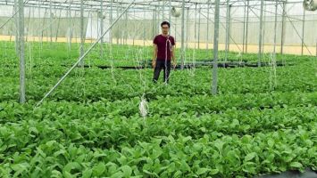 Xúc tiến đầu tư để phát triển nông nghiệp bền vững