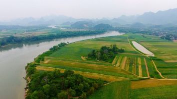 Thơ Xuân của các chí sĩ yêu nước xứ Nghệ