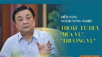 Điểm sáng ngành Nông nghiệp: Thoát tư duy 'mùa vụ', 'thương vụ'