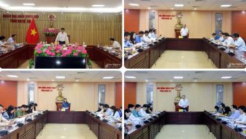 Nâng cao chất lượng thẩm tra các dự thảo nghị quyết, báo cáo, đề án trình HĐND