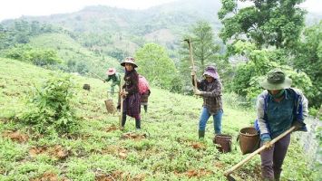 Giải quyết đất ở, đất sản xuất cho vùng đồng bào dân tộc thiểu số và miền núi trong sửa đổi Luật Đất đai