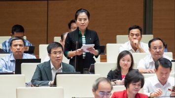 Đại biểu Võ Thị Minh Sinh: Định hướng và chính thống hóa các trang fanpage của các tổ chức, cơ quan