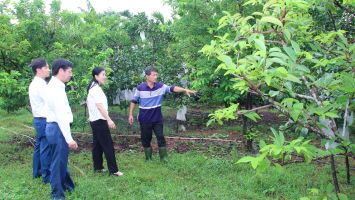 Thay đổi tư duy làm chính sách theo hướng nào?