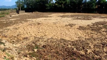 Những “rào cản” trong xây dựng nông thôn mới