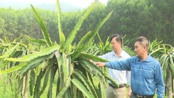 Quỳnh Lưu: Chú trọng xây dựng, phát triển sản phẩm OCOP