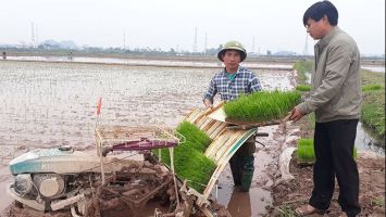 Sở Nông nghiệp và Phát triển nông thôn trả lời cử tri Nguyễn Hữu Bình, xóm Liêu Tiêu, xã Lưu Sơn, huyện Đô Lương về chính sách hỗ trợ nông dân mua máy cày, máy gặt và trợ giá giống