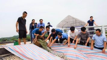 Tạo sinh kế bền vững ở vùng đồng bào dân tộc thiểu số