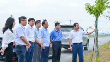 Bài 2: Chưa mang tính dự báo, sát thực tế