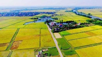 Công nhận quyền đối với hộ gia đình, cá nhân không có giấy tờ về quyền sử dụng đất