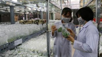 Nghị quyết của Bộ Chính trị về phát triển và ứng dụng công nghệ sinh học trong tình hình mới