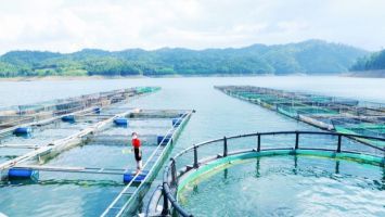 Đổi mới phương pháp tiếp cận phát triển sinh kế trong chương trình giảm nghèo bền vững