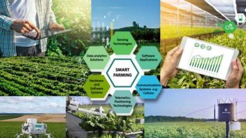 Chuyển đổi số trong xây dựng nông thôn mới hướng tới nông thôn mới thông minh