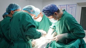 Bộ Nội vụ trả lời kiến nghị cử tri về chế độ tiền lương đối với đội ngũ bác sỹ