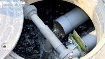 Thành phố Vinh cần tập trung xử lý các điểm nóng về ô nhiễm môi trường