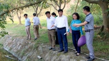 Tăng số lượng cấp ủy trong Thường trực, chuyên trách các ban